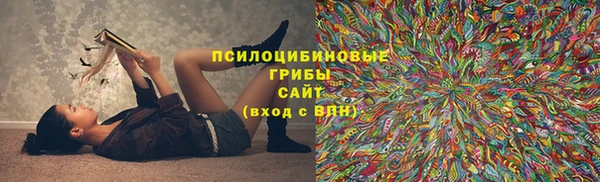 меф Арсеньев