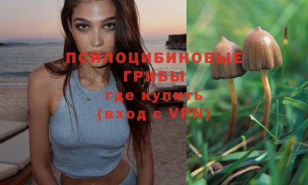 гашишное масло Аркадак