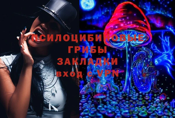 меф Арсеньев