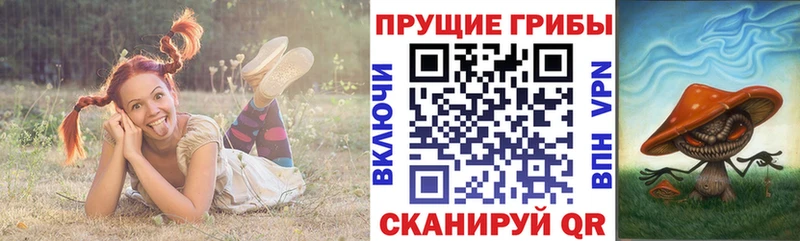 Псилоцибиновые грибы Cubensis  Павлово 